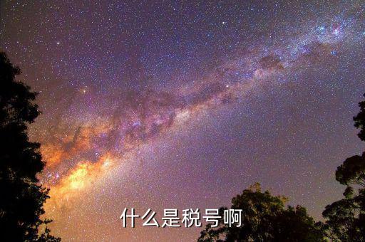 公司稅號(hào)是什么，公司的稅號(hào)一般有多少位