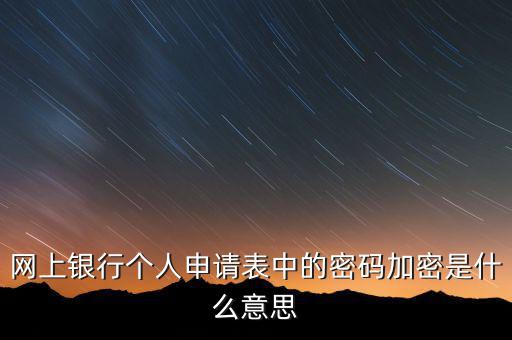 網上申報的密碼是什么，網上銀行個人申請表中的密碼加密是什么意思