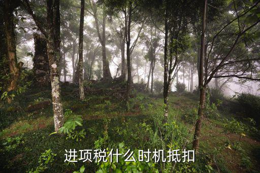 認證的進項稅什么時候抵扣，進項稅什么時機抵扣