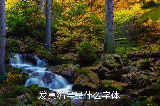 發票上的號碼是什么字體，發票編號是什么字體