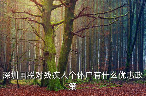 深圳國稅對殘疾人個體戶有什么優惠政策