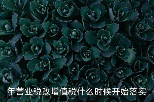 年營業稅改增值稅什么時候開始落實