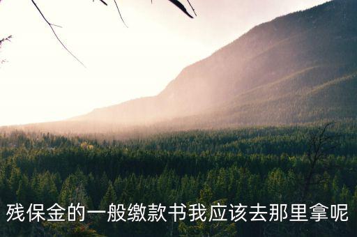 殘保金的一般繳款書我應該去那里拿呢