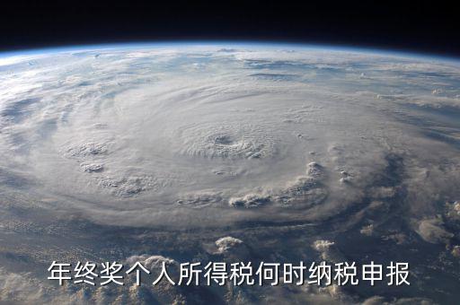年終獎什么時候申報，天津地區當月發放年終獎什么時候申報