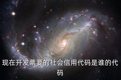 現在開發票要的社會信用代碼是誰的代碼
