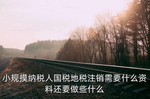 小規摸納稅人國稅地稅注銷需要什么資料還要做些什么