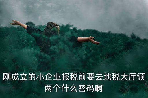 剛成立的小企業報稅前要去地稅大廳領兩個什么密碼啊