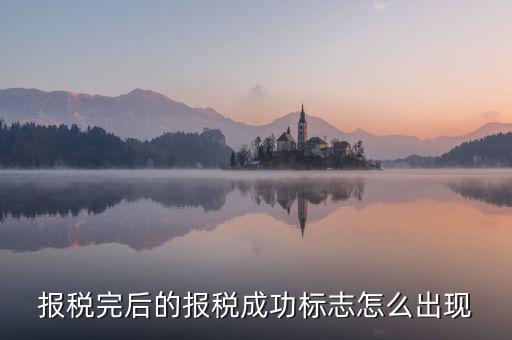 報稅完后的報稅成功標志怎么出現