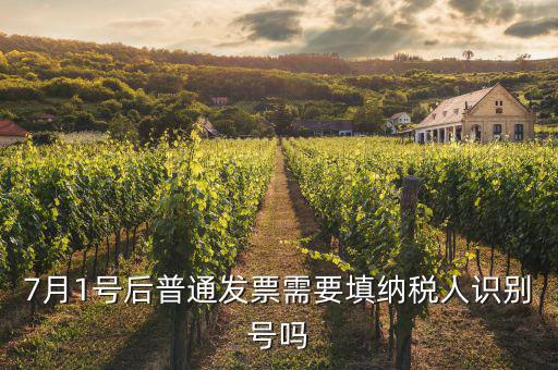 7月1號后發票內容是什么意思，7月1號后普通發票需要填納稅人識別號嗎
