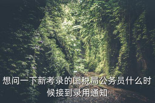 國稅錄取通知什么時候，今年國稅公務員正式錄用公告什么時候出