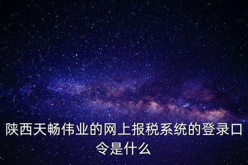 陜西天暢偉業的網上報稅系統的登錄口令是什么