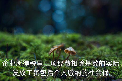 企業所得稅扣除基數指什么，企業所得稅里三項經費扣除基數的實際發放工資包括個人繳納的社會保