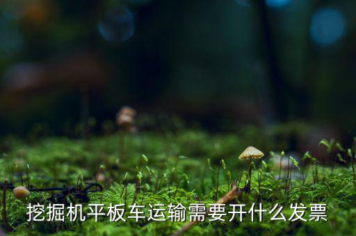挖掘機(jī)平板車運輸需要開什么發(fā)票