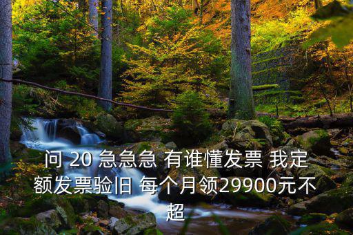 問 20 急急急 有誰懂發票 我定額發票驗舊 每個月領29900元不超
