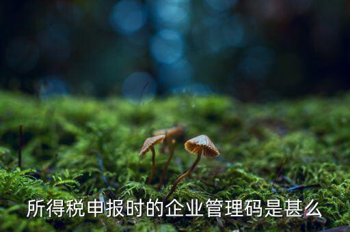 所得稅申報時的企業管理碼是甚么