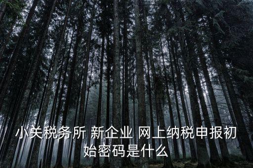 小關(guān)稅務(wù)所 新企業(yè) 網(wǎng)上納稅申報初始密碼是什么