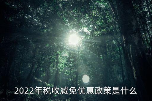 2022年稅收減免優惠政策是什么