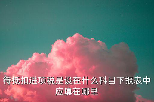 待抵扣進項稅入的是什么，待抵扣進項稅是設在什么科目下報表中應填在哪里