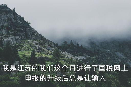 我是江蘇的我們這個月進行了國稅網上申報的升級后總是讓輸入