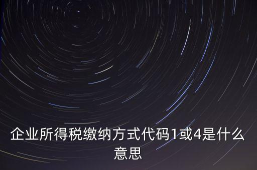 企業所得稅繳納方式代碼1或4是什么意思