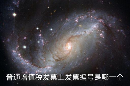 發票的編號有什么，發票辦件編號是什么