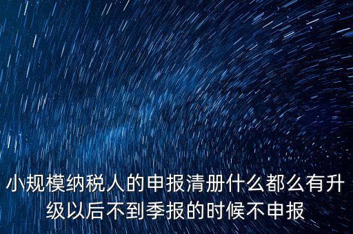 小規模納稅人的申報清冊什么都么有升級以后不到季報的時候不申報