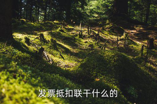 發票抵扣聯干什么的