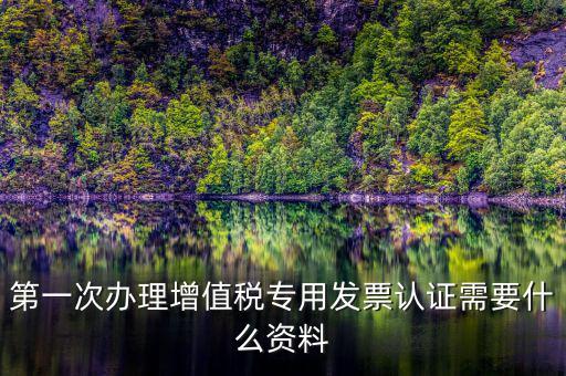 第一次辦理增值稅專用發票認證需要什么資料