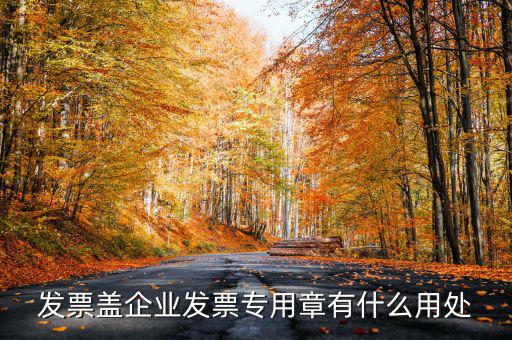 發票專用章有什么用，公司的發票專用章是干嘛用的