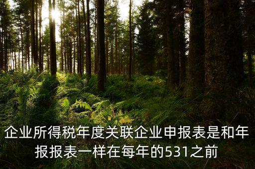 企業所得稅年度關聯企業申報表是和年報報表一樣在每年的531之前