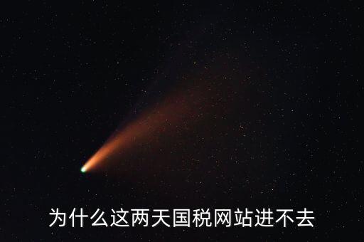 為什么這兩天國稅網站進不去
