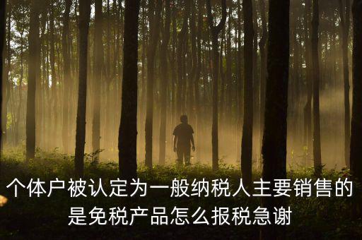 個體戶被認定為一般納稅人主要銷售的是免稅產品怎么報稅急謝