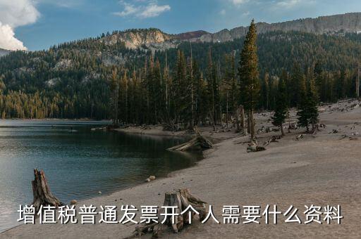 增值稅普通發票開個人需要什么資料
