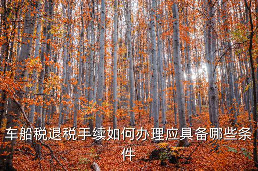 車船稅退稅手續如何辦理應具備哪些條件