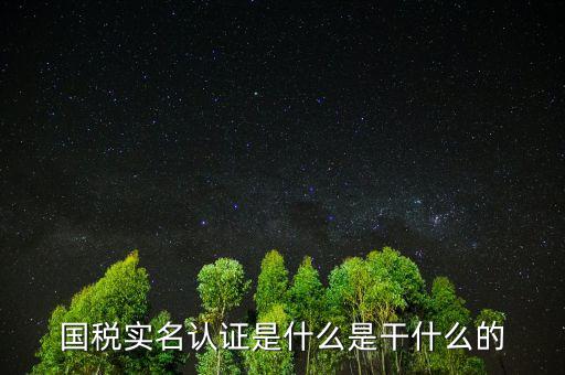國稅實名制認證要什么手續，國稅實名認證是什么是干什么的