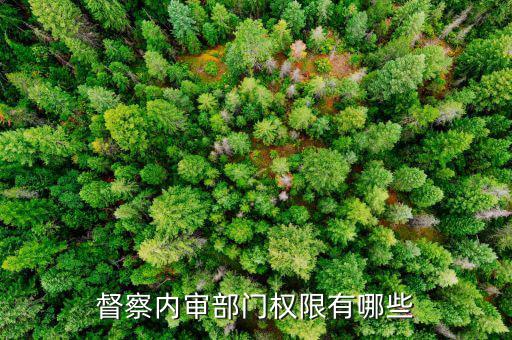 督察內審部門權限有哪些