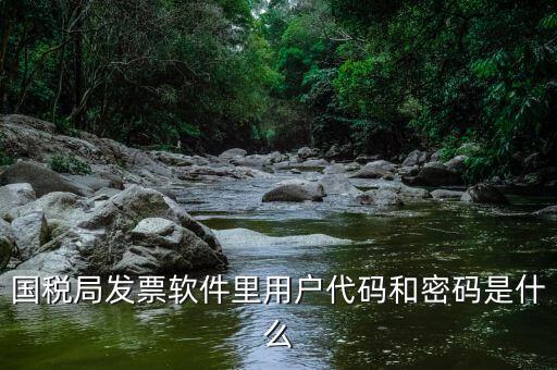 國稅局發票軟件里用戶代碼和密碼是什么
