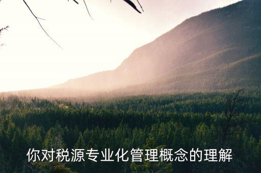 你對稅源專業化管理概念的理解
