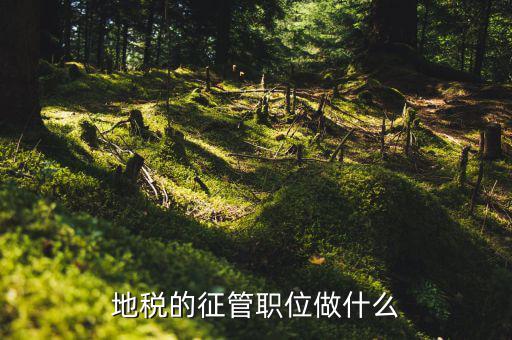 省地稅局是做什么的，地方稅務局