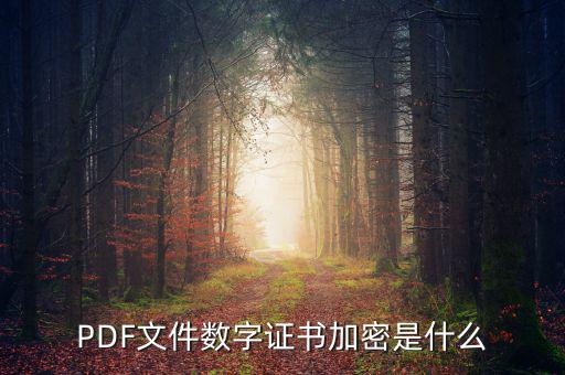 PDF文件數字證書加密是什么