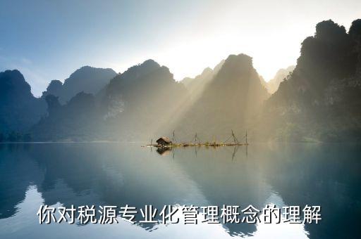 你對稅源專業化管理概念的理解