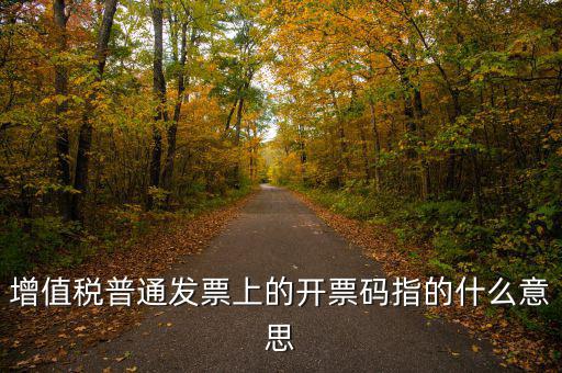 什么是發(fā)票信息碼，增值稅普通發(fā)票上的開票碼指的什么意思
