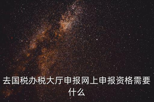 國稅網上申報用什么，去國稅辦稅大廳申報網上申報資格需要什么