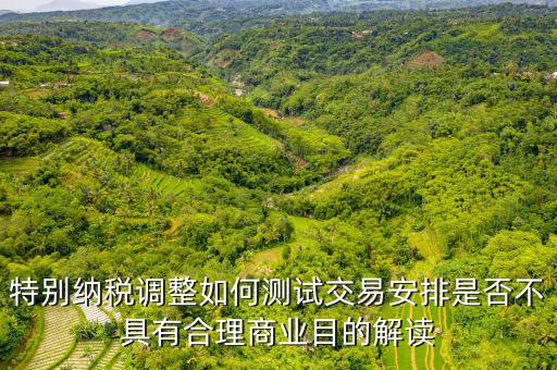 特別納稅調整如何測試交易安排是否不具有合理商業目的解讀