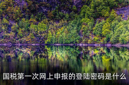 國稅第一次網上申報的登陸密碼是什么