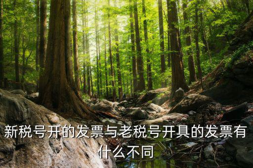 新稅號開的發票與老稅號開具的發票有什么不同