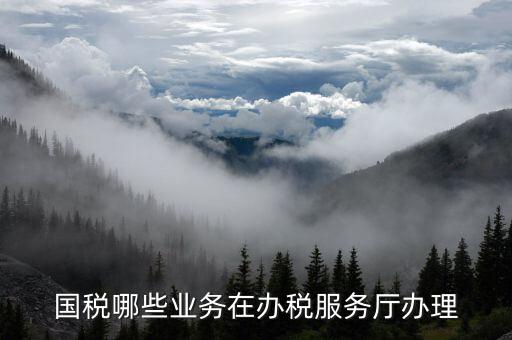 國稅哪些業務在辦稅服務廳辦理