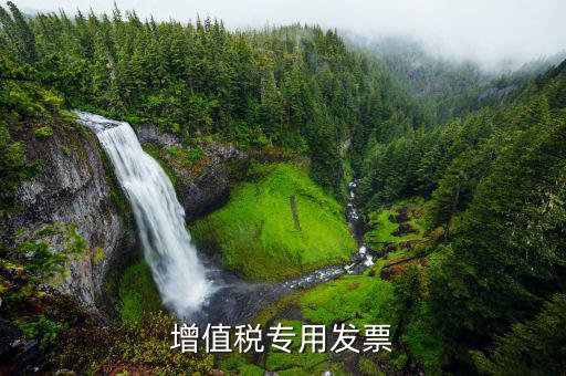 什么是增值稅專用票，增值稅專用發票