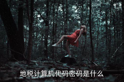 地稅稅務登陸密碼是什么意思，湖北地稅網絡發票登陸密碼是什么急急急