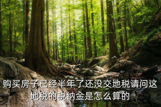 購買房子已經半年了還沒交地稅請問這地稅的稅納金是怎么算的